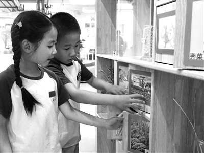 聚焦幼兒“三性” 創(chuàng)設(shè)互動(dòng)環(huán)境.jpg